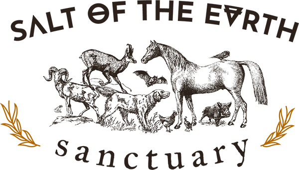 Salt of the Earth Sanctuary logo